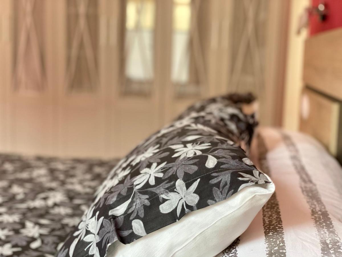Apartamento Housingleon- Barrio Humedo Leão